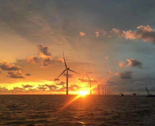 The first offshore wind farm in the United States will have marine wildlife tracking