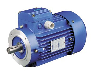 What is the working principle of the induction AC motor?